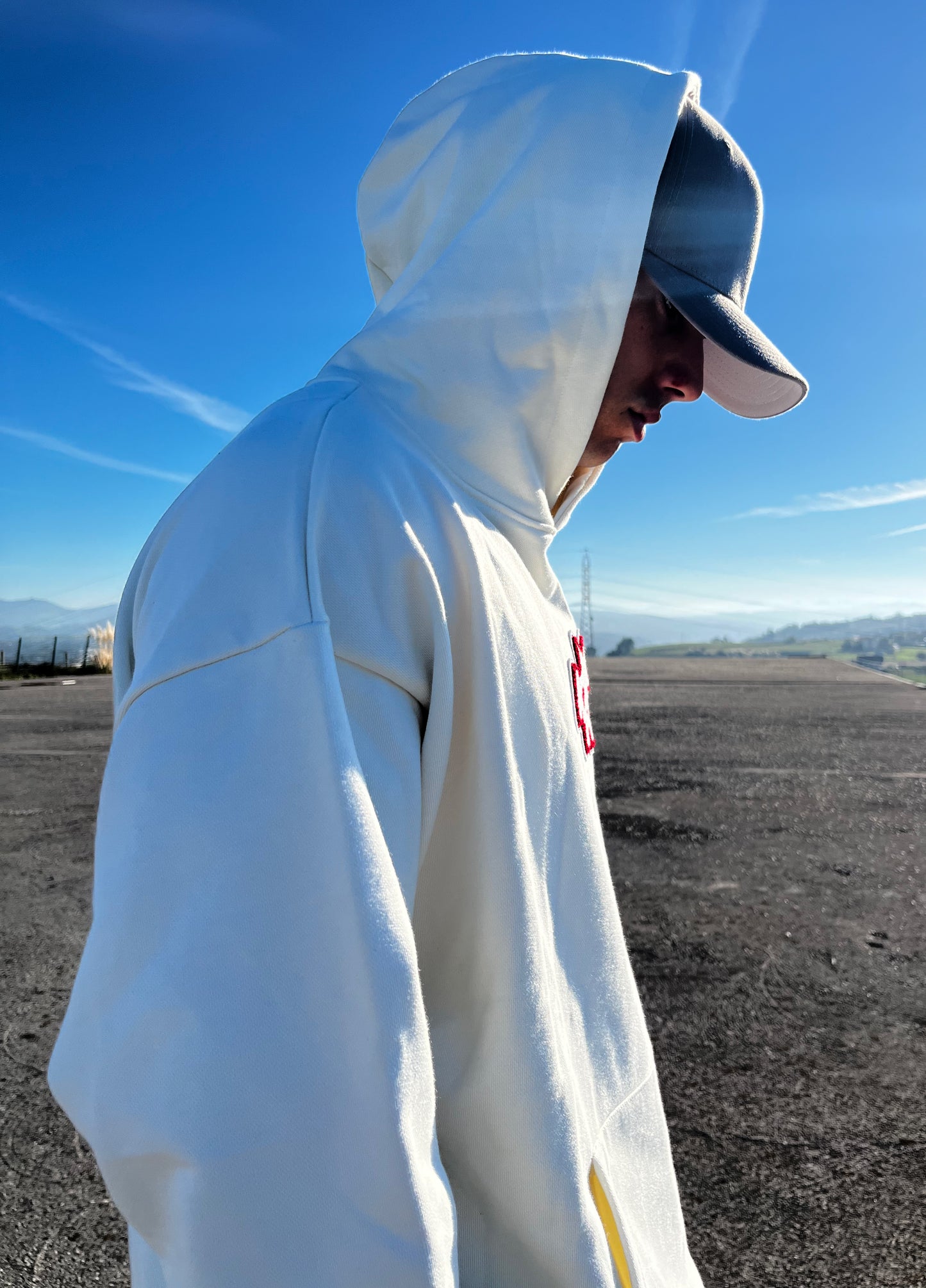 Heavy Hoodie